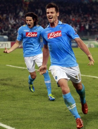 區域的快速 區域的快速